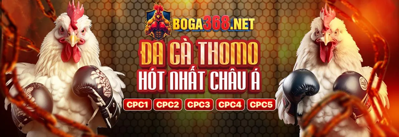 Xu hướng cá cược trực tuyến mới nhất và tin tức iGaming